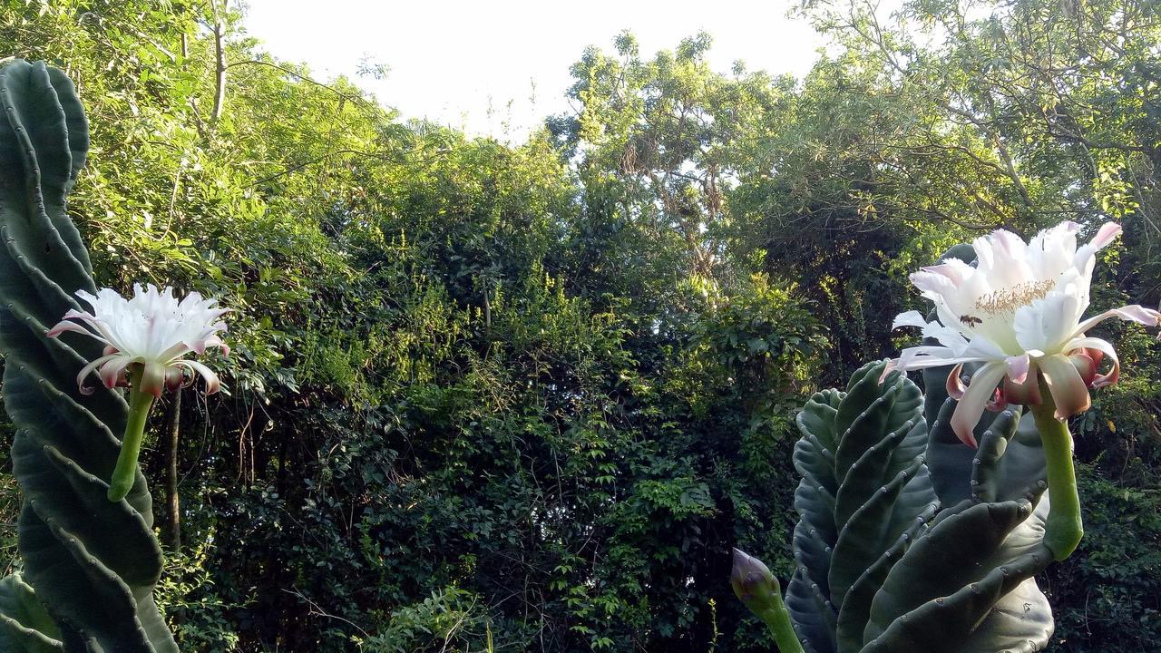 Posada Camboata Aristóbulo del Valle Exterior foto